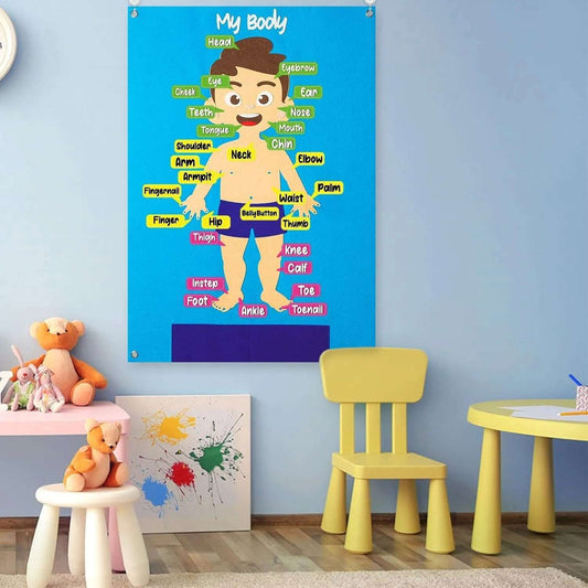 Early Learning Human Body Busy Board