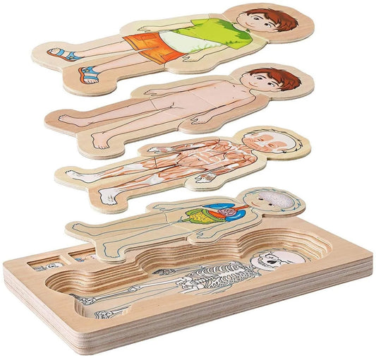 Wooden Human Body Puzzle - 5 Layer Anatomy Playset